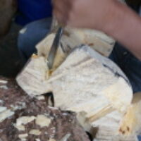 Chisel Chips